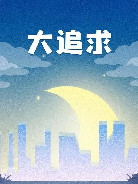 大追求